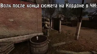 Сталкер мем