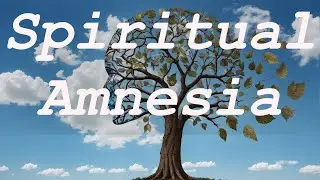 Spiritual Amnesia: What if you can't remember shit anymore on the path to enlightenment?