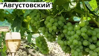 Dry white wine from the 