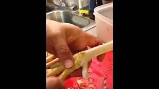 Peeling Chicken Feet for Broth