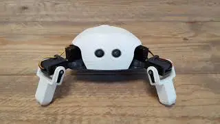 CrawlingCritter