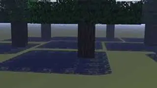 [Animation] InTheWoods