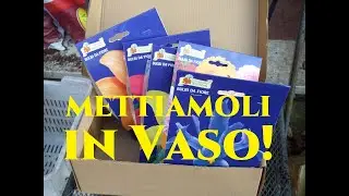 Piantare bulbi in vaso Dalie Iris Lilium Tutorial Giardinaggio Gardeners' World