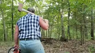 LUMBERJACK....you ready to laugh?? - rednekwilson88