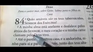 Leia a Bíblia toda em 1 Ano - 287º Dia