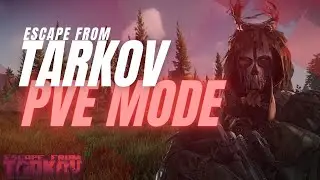 Escape From Tarkov PVE Then Dark and Darker (maybe)