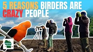 5 Reasons Why Birders Are CRAZY People