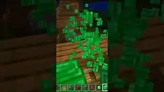 That one villager after scamming me for emeralds