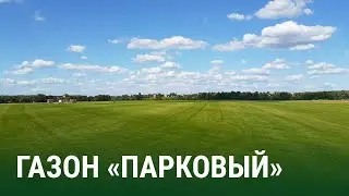 Газон «Парковый»