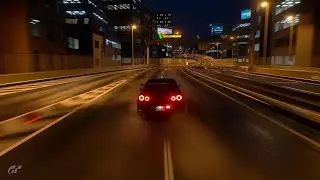 She Took Everything but the Skyline...