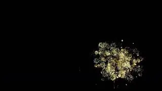 Happy New Year Animation  Special Green Black Screen Effect Video celebration_speciall_Effects