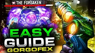 EASY Gorgofex Guide - 
