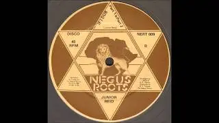 Junior Reid - If I Dub Part 1 & 2