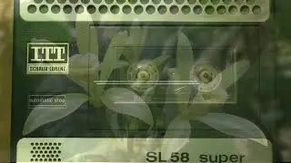 Vanilla Rich Dm 115