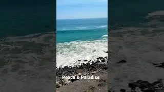 Peace & Paradise #fyp #shorts #shortvideo #beach