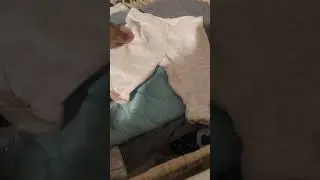 Box packing if cuddle baby girl
