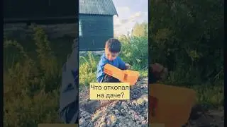 Откопали на огороде клад
