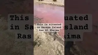 The Pink Lake Ras Al Khaima  🐟