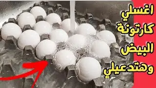 اغسلي كارتونة البيض وارتاحي من العذاب اتندمت اني مكنتش اعرفها من زمان