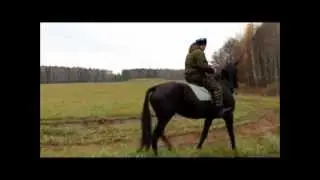 Оренбургские казаки. ХКО 
