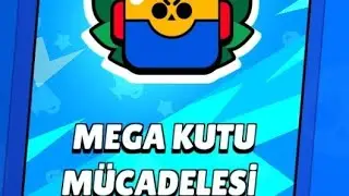Mega kutu Mücadelesi