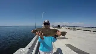 Grouper Fishing at Skyway Fishing Pier Finally Got My Keeper