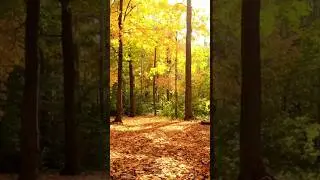 Всему свое время и место.. #shorts #shortvideo #цитаты
