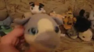 ❤Моя коллекция THE CAT❤ツ