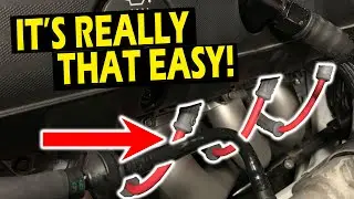 MSD Spark Plug Wire Kit!