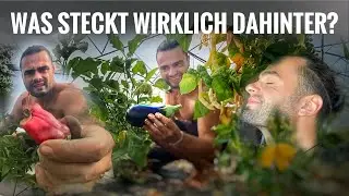 Wie kommt man zu richtig gutem Gemüse? | auf regenerativen Farm + starkes Unwetter | Rumänien 🇷🇴