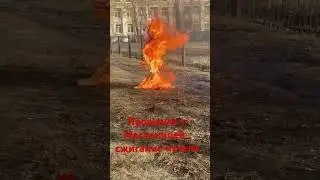 Сожгли чучело, прощание с Масленицей