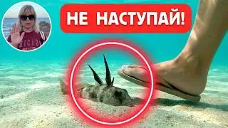 Испания  Это  опасно  в Испании пострадала наша знакомая  #испания
