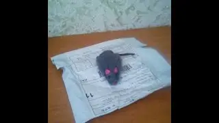 Посылка С АliExpess Мышь