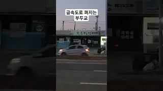 급속도로 퍼지고 있는 부두교  #shorts