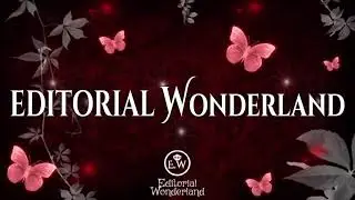 Tienda gráfica Wonderland