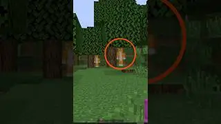 Бискас в Майнкрафт 😱 