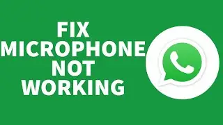 How to FIX WhatsApp Microphone Not Working Error on iPhone (2022)