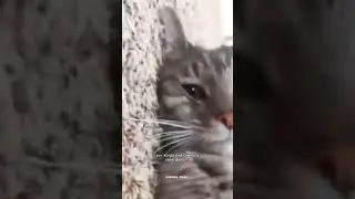 Когда она скинула своё фото 🤭☀️💞