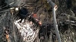 Лажу по скалам, пугаюсь и несу всякую фигню))) чит оп