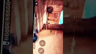 баг