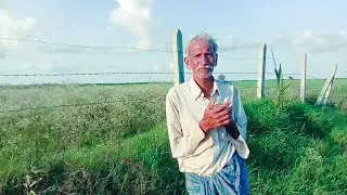 today new entry halasu, mango,