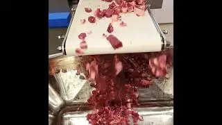 PACIFIC 550A Dicer