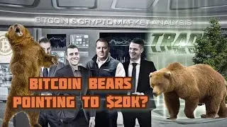 BITCOIN BEARS Pointing to $20K? Elrond EGLD & Avalanche AVAX MOST PROFITABLE ALTCOINS of 2021?