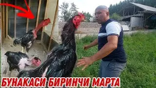 ПАРВОЗЛАР УЧУН МАХСУС ...ОХУНОВ ТВ ХОНОДОНИДАН ЭКСКЛЮЗИВ ВИДЕО