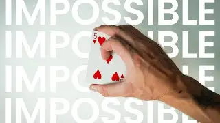 Clipflip by Biz - Trailer