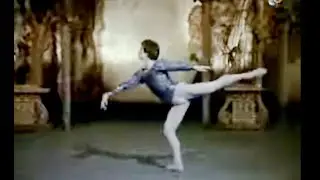 LEGENDARY N U R E Y E V Swan Lake ♡♡♡♡♡♡♡