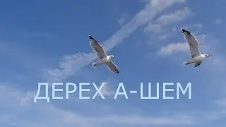 Дерех а-Шем 9-й Урок 