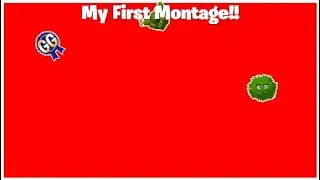 My First Montage-The Best Video!