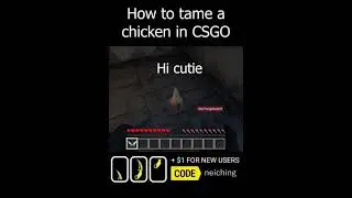 How to tame a chicken in CSGO (*GONE WRONG*)