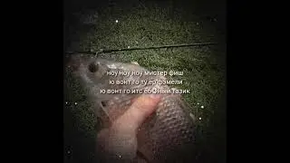 Ноу ноу мистер фиш 